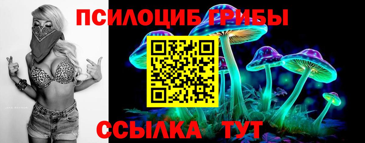 Псилоцибиновые грибы Psilocybe  наркотики  Валуйки  Вход с VPN 