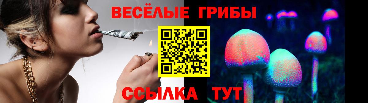 Псилоцибиновые грибы прущие грибы Валуйки